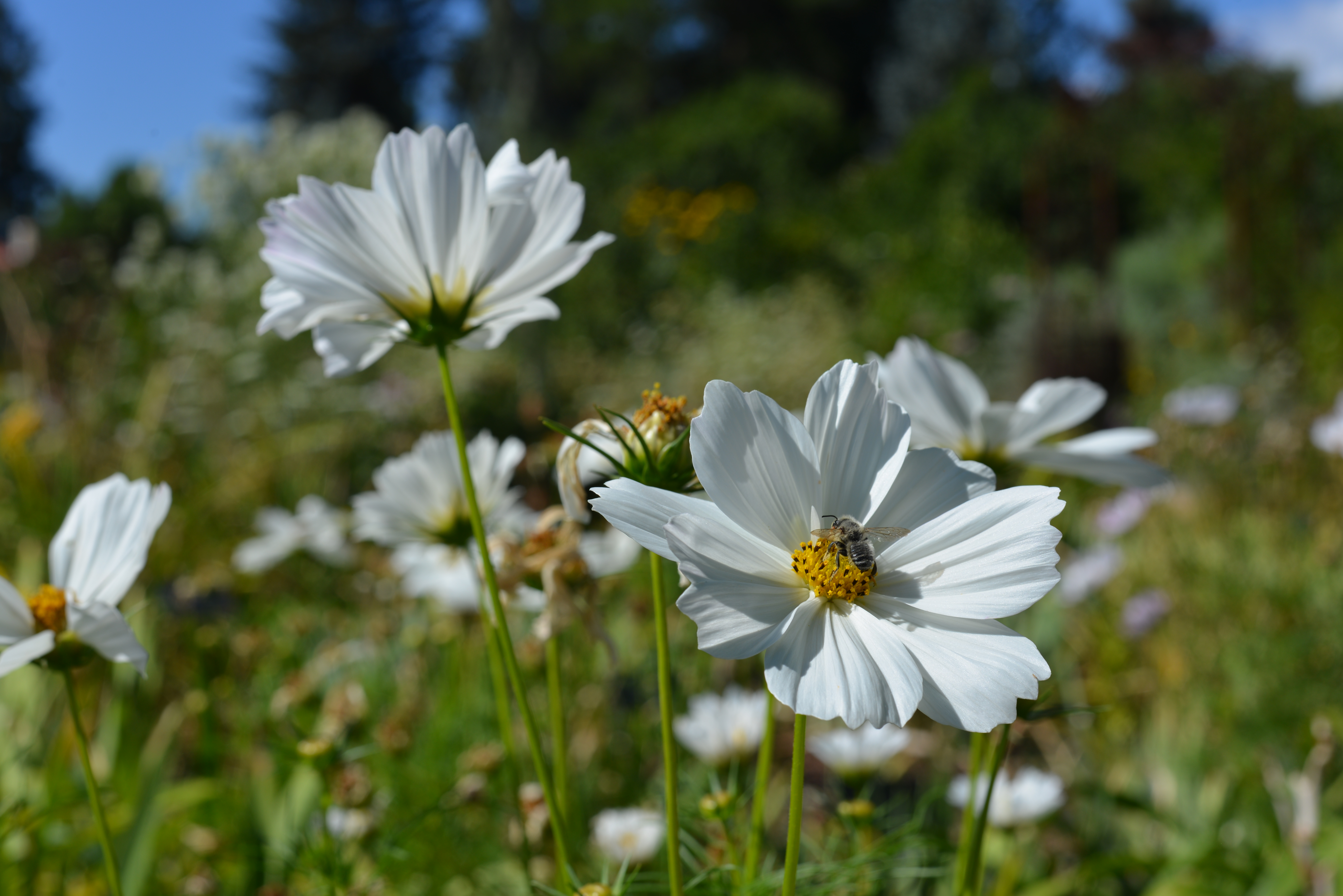 Photography image 2